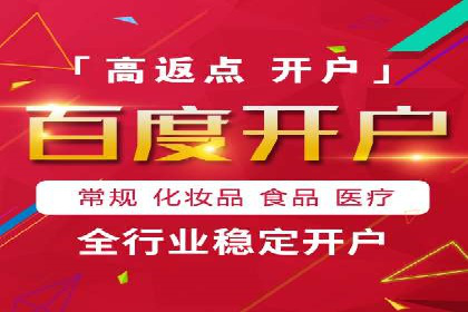 百度竞价代理的运营策略与成功案例分析