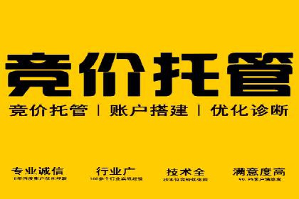 SEM推广代运营公司案例：助力企业实现品牌影响力提升